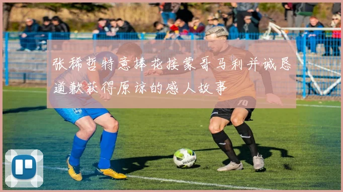 张稀哲特意捧花接蒙哥马利并诚恳道歉获得原谅的感人故事